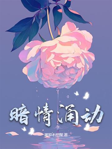 ����ӿ��