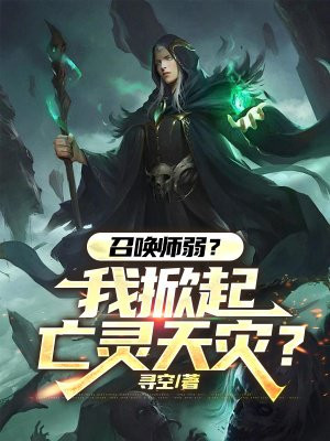 �ٻ�ʦ�����������������֣�